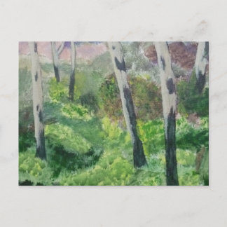 Postcard of a Devon Primrose Wood.