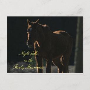Postcard of Horse in the Rocky Mountains
