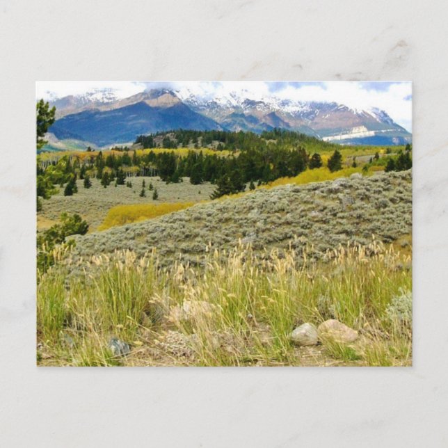 Postcard of Montana (Front)