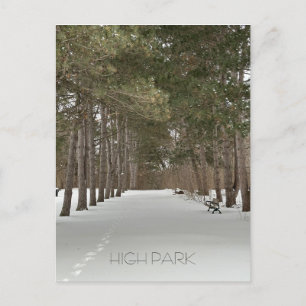 Postcard of winter in High Park, Toronto