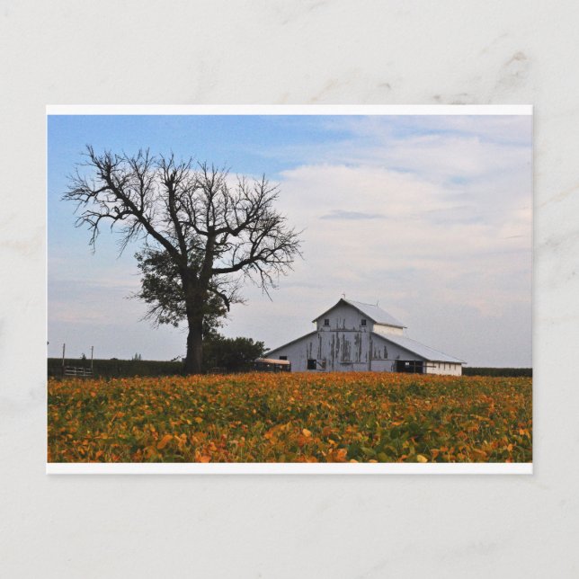 Postcard, old barn postcard (Front)