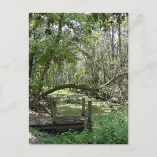 Postcard - Old Florida