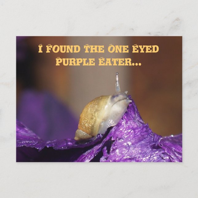 Postcard/One Eyed Postcard (Front)