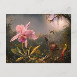 Postcard: Orchid and Hummingbirds Postcard