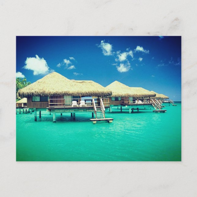 Postcard - Overlooking The Ocean (Front)