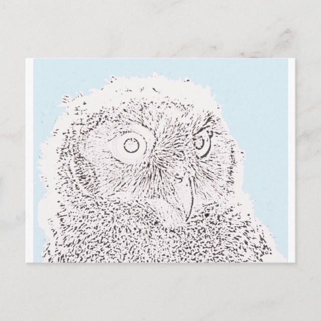 Postcard - Owlet to Colour (Front)