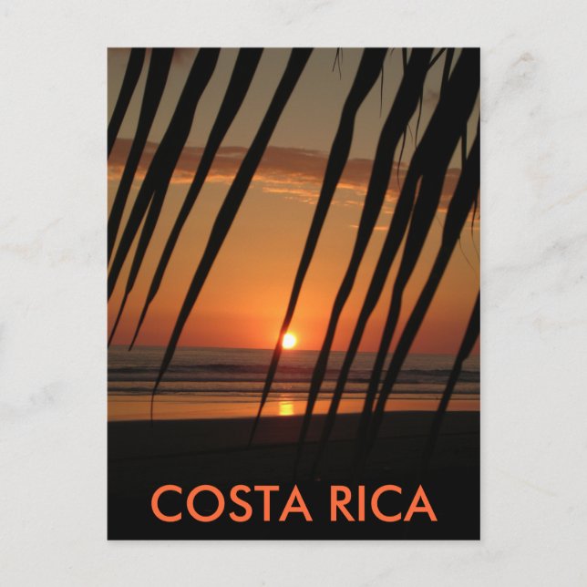 Postcard Palm Sunset,  COSTA RICA (Front)