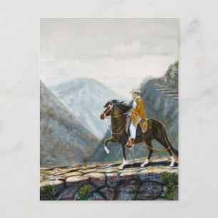 Postcard, Peruvian Paso ridden on a Mountain trail Postcard