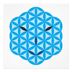 Postcard Photo Print