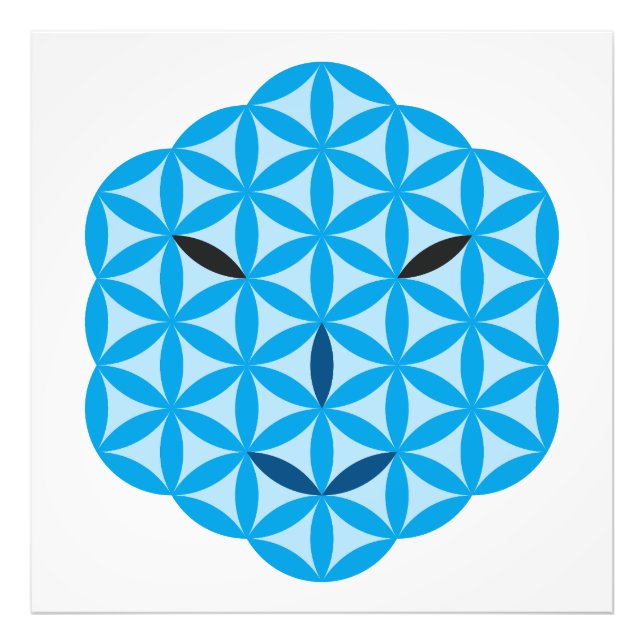 Postcard Photo Print (Front)