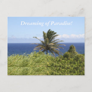 Postcard-Photography of beautiful tropical scene Postcard