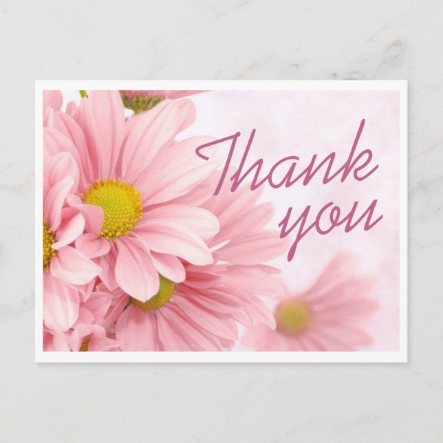 Postcard - Pink Daisy Thank You (Front)