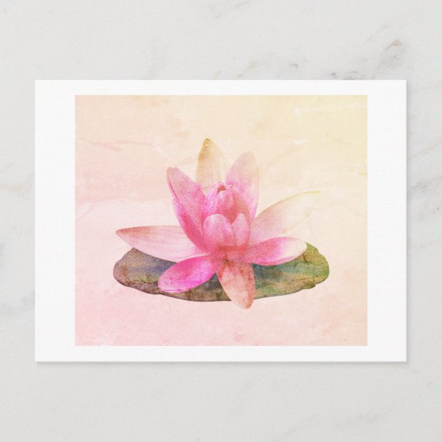 POSTCARD : PINK LOTUS (Front)