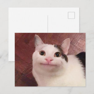 Postcard Polite Cat Meme