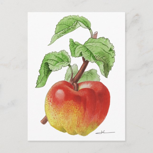 Postcard "Pomme Jeanne Hardy" (Front)