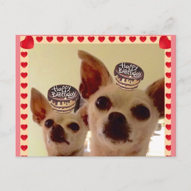 POSTCARD- POSTCARD (Front)