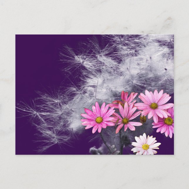 Postcard Postcard Flowers and Thistle Seeds (Front)