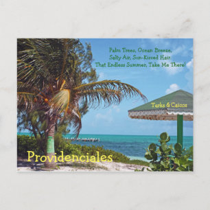 postcard, PROVIDENCIALES/PALM TREE & UMBRELLA/TURK Postcard