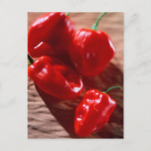 POSTCARD RED CHILI PEPPERS