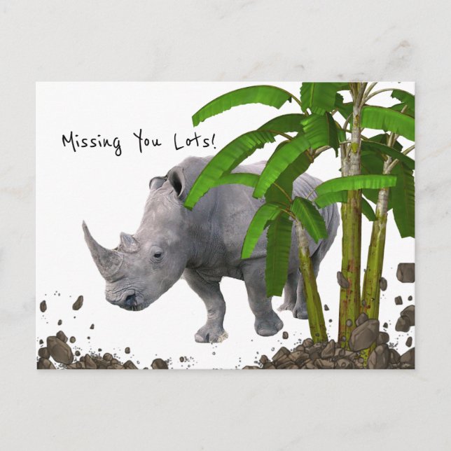 Postcard Rhinoceros Missing you lots! (Front)