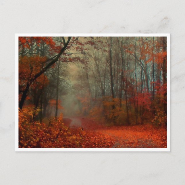 Postcard - Romantic Misty Autumn Day (Front)