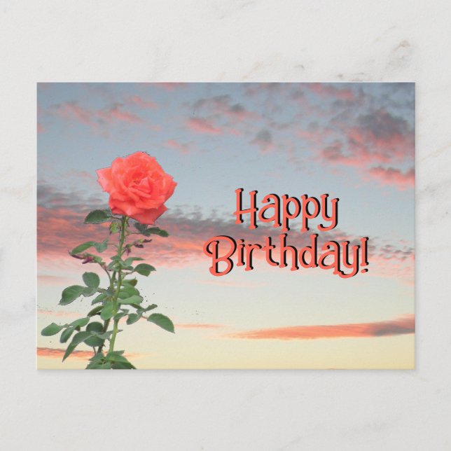 Postcard - Rose at Sunset (Front)