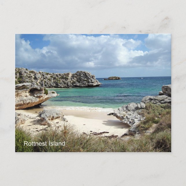 POSTCARD - Rottnest Island Western Australia (Front)