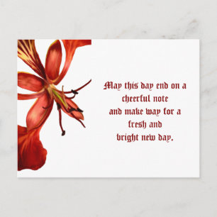 Postcard Royal Poinciana