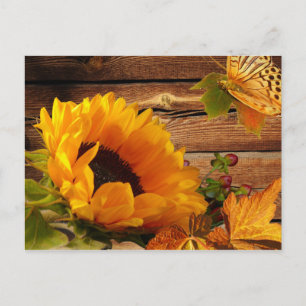 Postcard, Rustic Country Fall Sunflower Butterfly Postcard