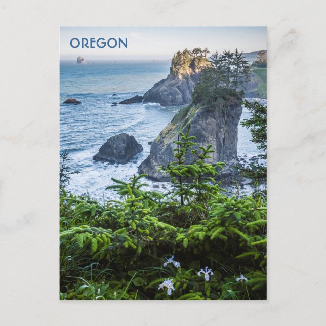 Postcard: Sea Stacks And Iris (Portrait) Postcard (Front)