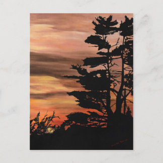 Postcard - Silhouette Sunset