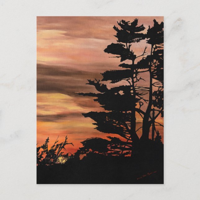 Postcard - Silhouette Sunset (Front)