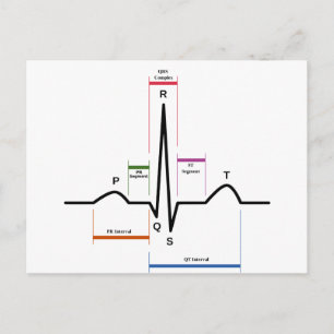 Postcard Sinus Rhythm Electrocardiogram ECG