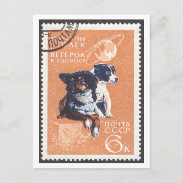 Postcard Space Dogs Veterok and Ugolyok (Front)