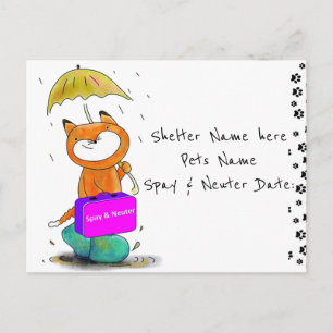 Postcard Spay & Neuter Cats Feline Shelters