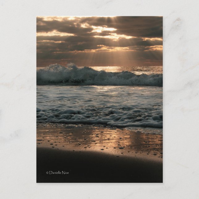 PostCard_splash Postcard (Front)