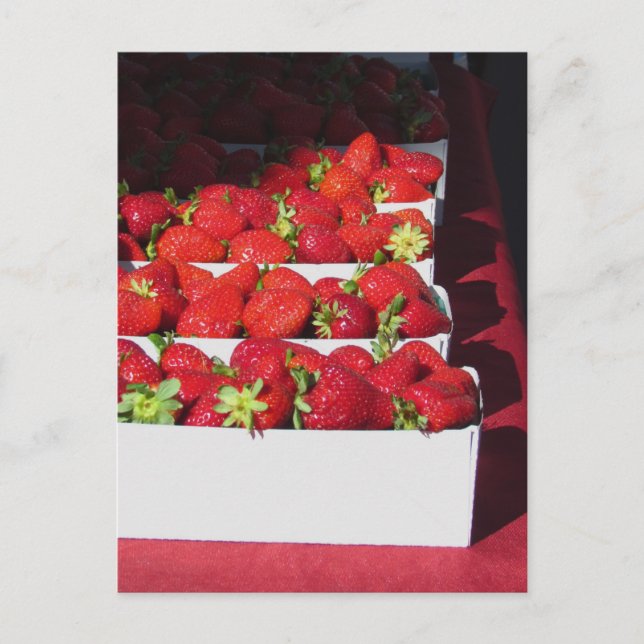Postcard - Srawberry Baskets (vrt) (Front)
