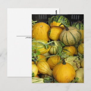 Postcard - Summer Squash
