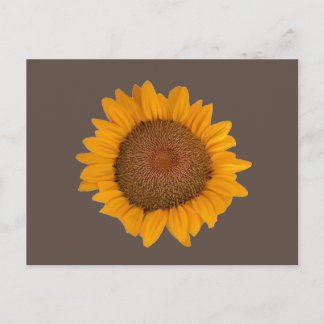 Postcard Sunflower
