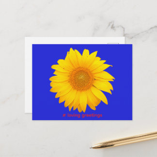 Postcard Sunflower Love Greetings