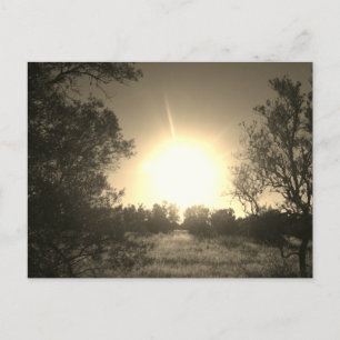 Postcard SUNSHINE ECO STYLE DESIGN