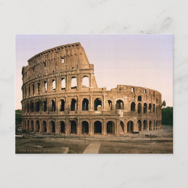 Postcard The Colosseum Of Rome, Italy (Front)