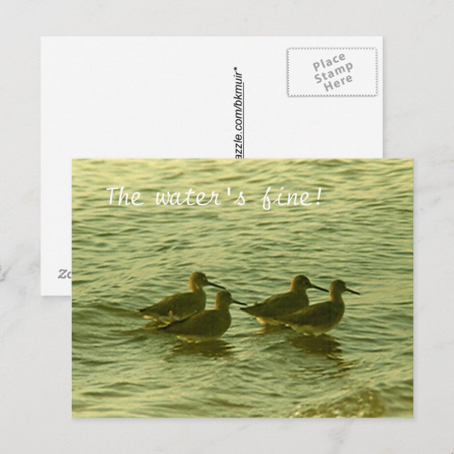 Postcard - The Water'F fine! (Front/Back)