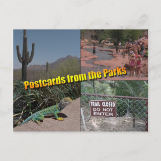 Postcard to the House