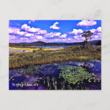 Postcard - Tupper Lake NY