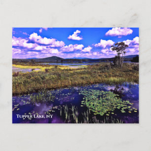 Postcard - Tupper Lake NY