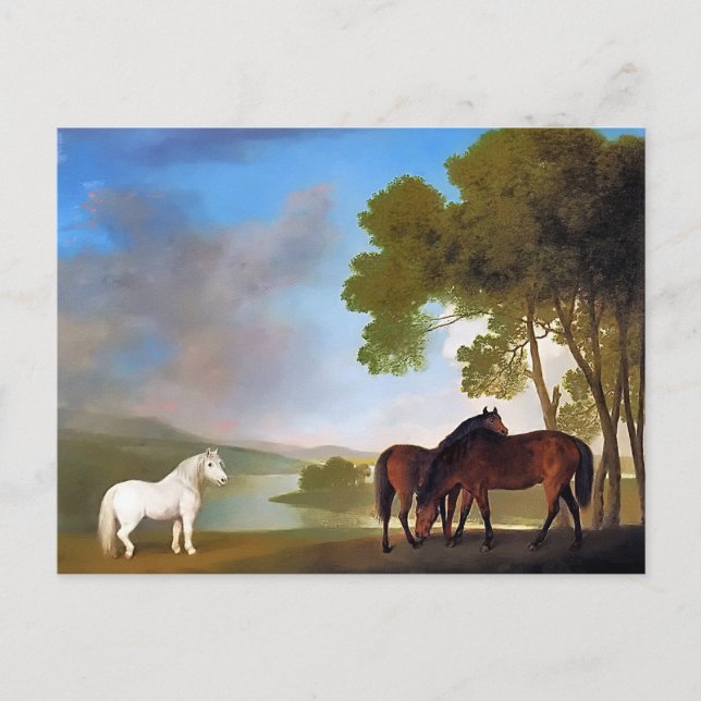 Postcard: Two Bay Mare & a Grey  Pony Postcard (Front)