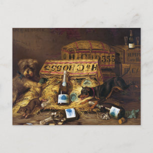 Postcard: Two dogs Chasing a Mouse by A.F. Tait Postcard