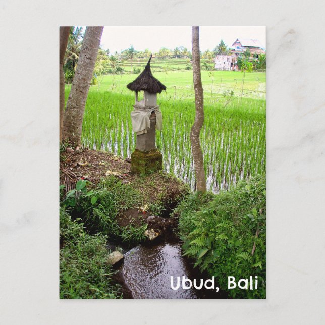 Postcard Ubud Bali Indonesia rice field Temple (Front)
