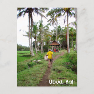 Postcard Ubud Bali Indonesia rice fields man
